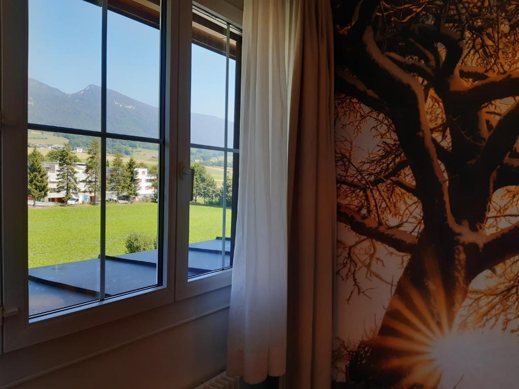 Příroda nedaleko hotelu
