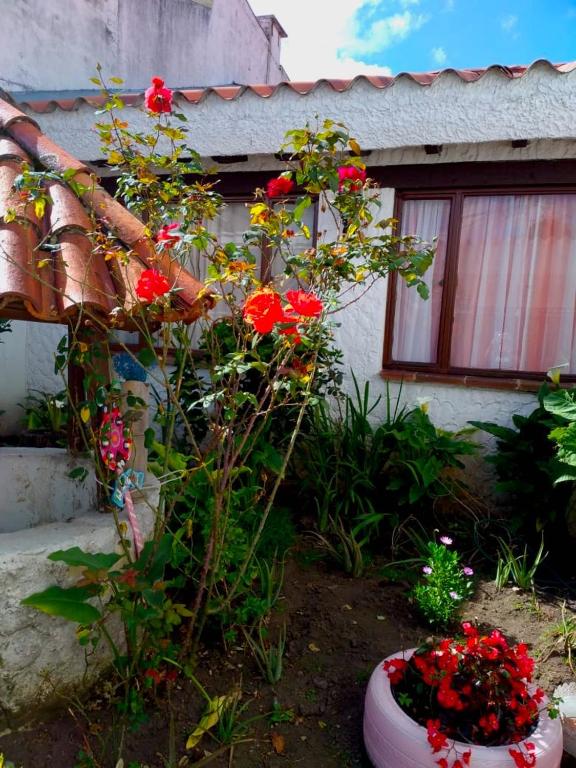 Zahrada ubytování Villa Suite Emanuel
