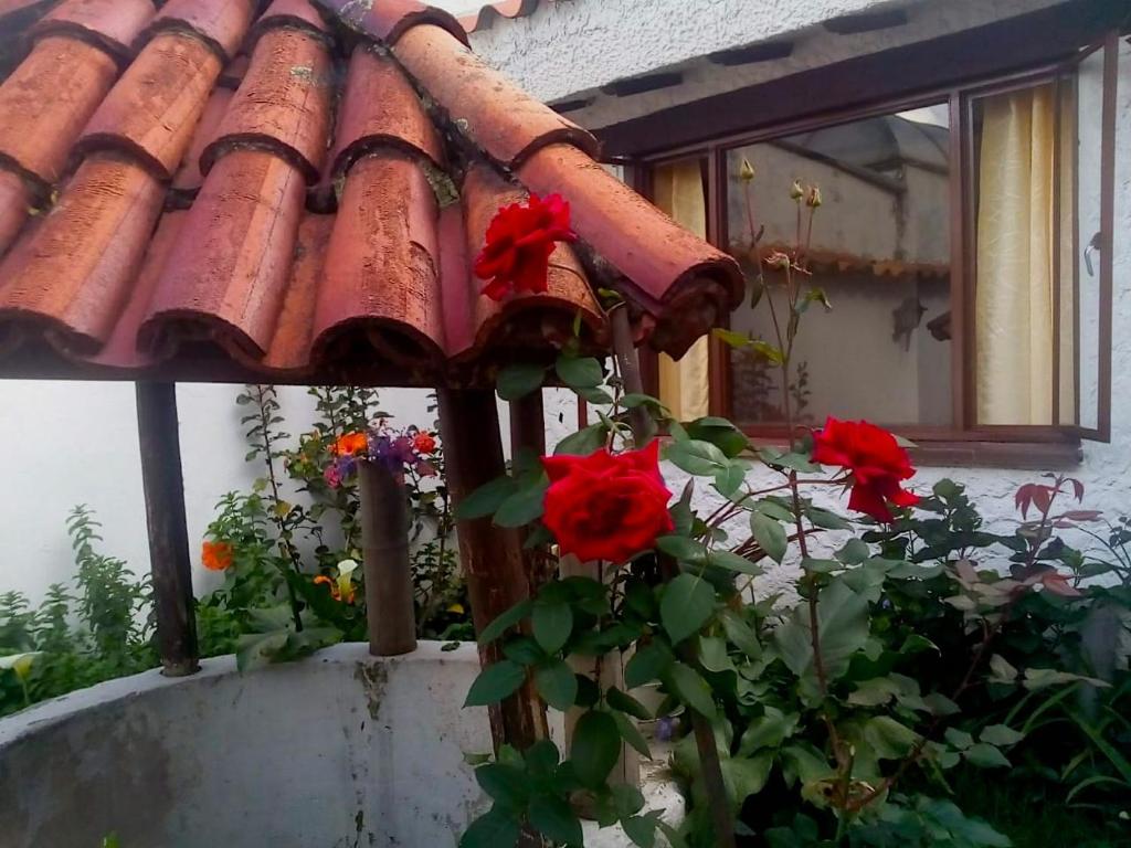 Zahrada ubytování Villa Suite Emanuel
