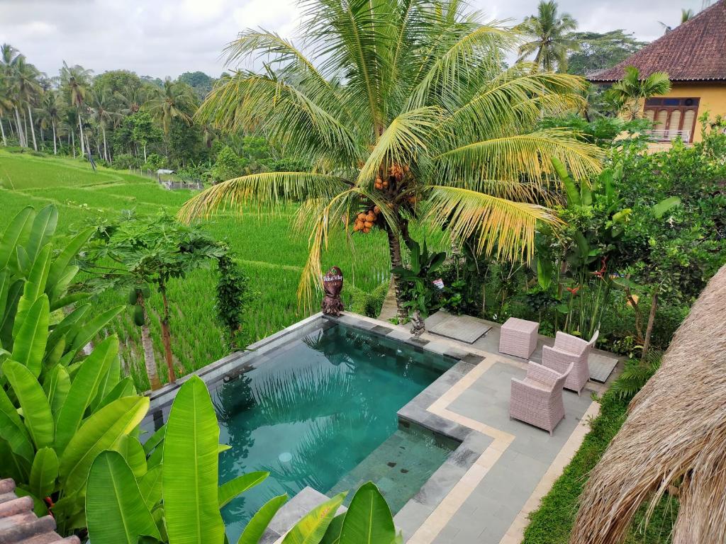 a swimming pool in a garden with a palm tree at Dukuh Village Villas & Art in Tegalalang