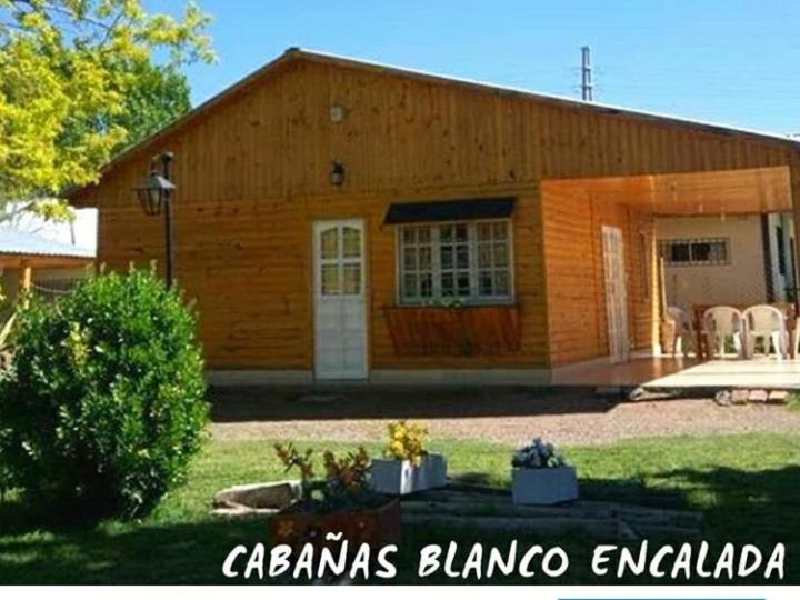 Cabañas Blanco Encalada