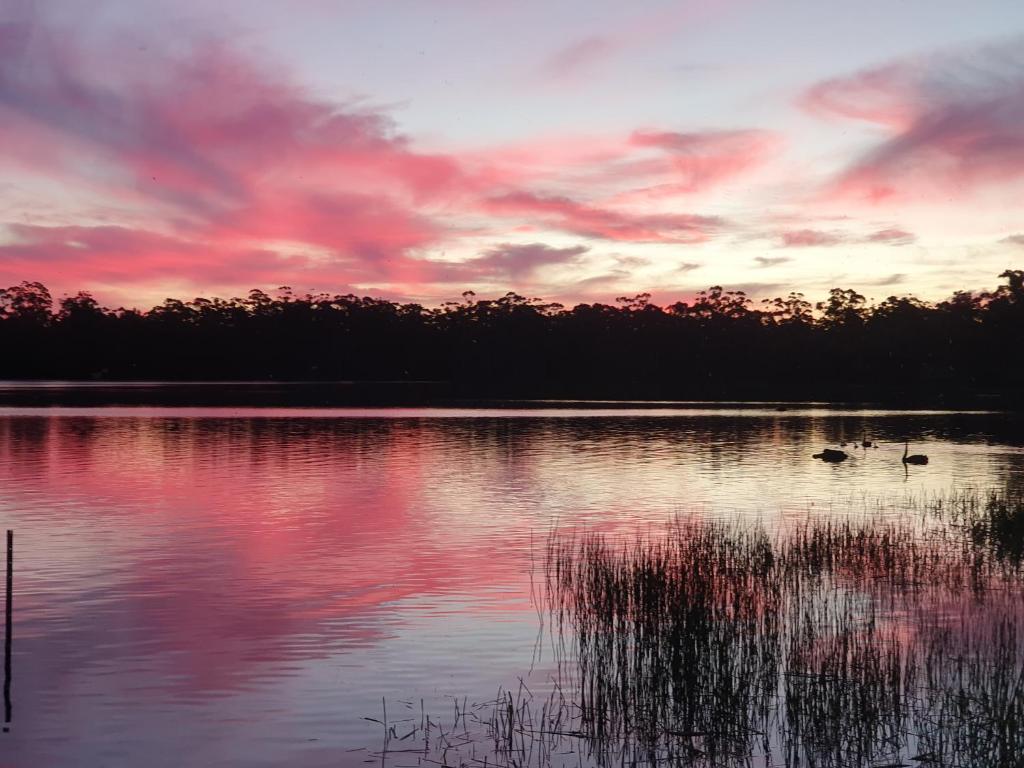a sunset over a lake with ducks in the water at Lake Yalleena Nature Retreat in Lake Leake