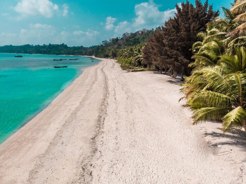 a beach with palm trees and blue water at Munjoh Ocean Resort - Private Beachfront Luxury Retreat in Havelock in Havelock Island