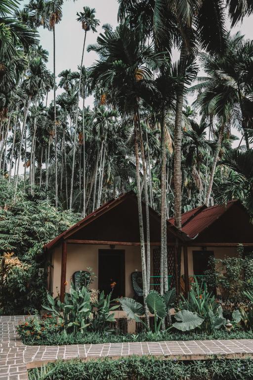 a house with palm trees in front of it at Munjoh Ocean Resort - Private Beachfront Luxury Retreat in Havelock in Havelock Island