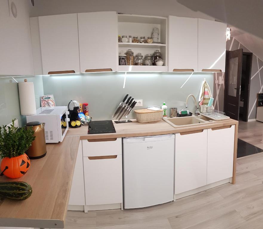 Kuchyňa alebo kuchynka v ubytovaní Apartamenty Królewskie