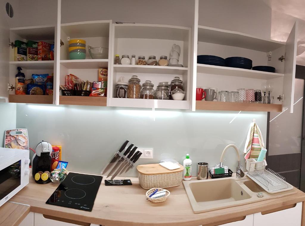 Kuchyňa alebo kuchynka v ubytovaní Apartamenty Królewskie