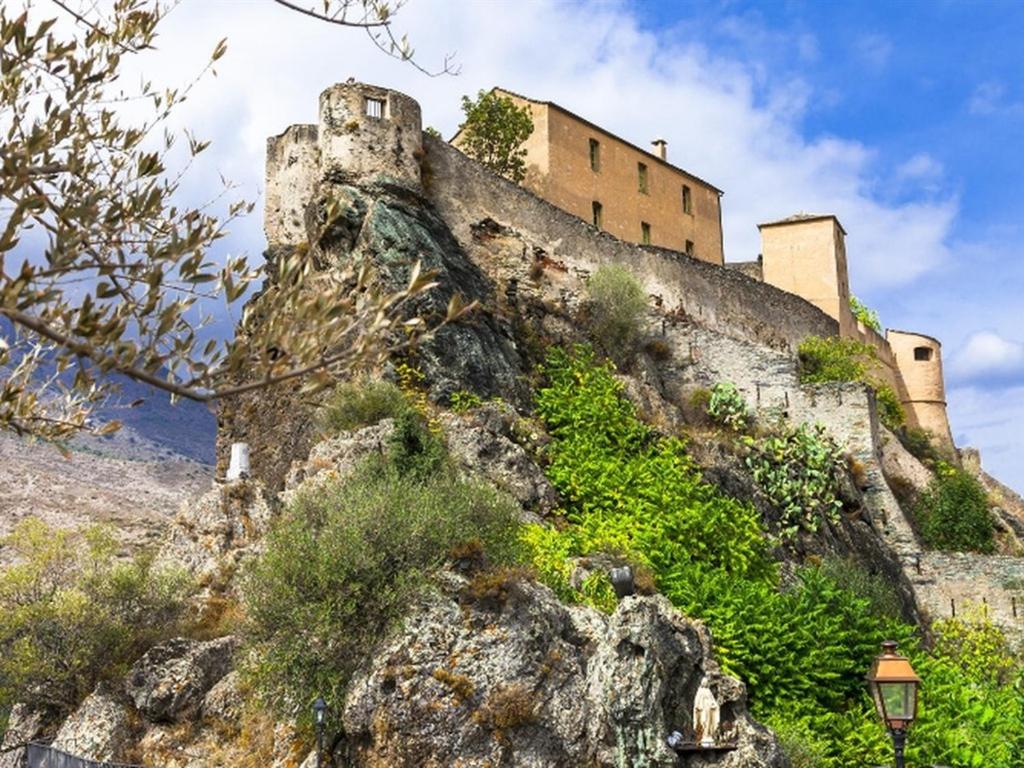 un château sur le flanc d'une montagne dans l'établissement Appartement Citadelle, à Corte