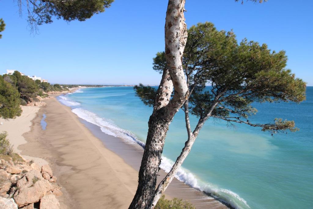 Las Marinas A, Miami Platja – Updated 2022 Prices