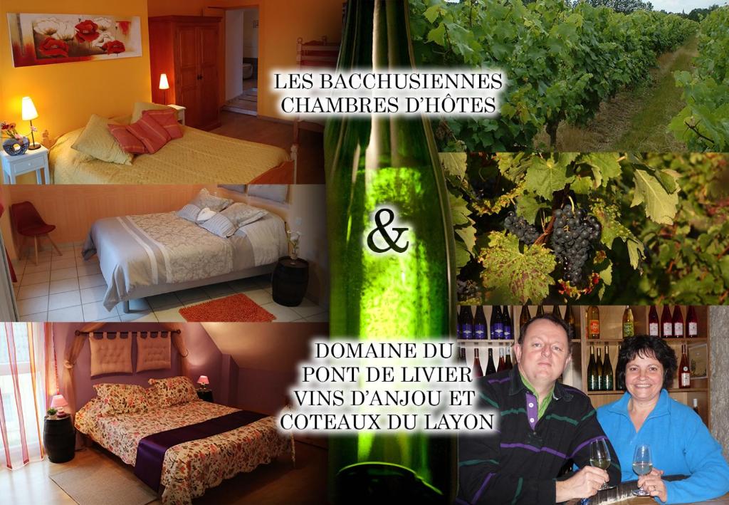 a collage of pictures of a room with a bottle of wine at Les Bacchusiennes in Saint-Georges-sur-Layon
