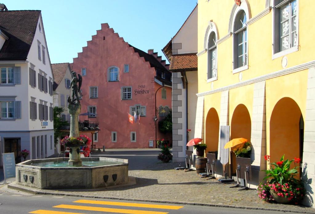a town with a fountain in the middle of a street at Gasthaus "Hotel Hirschen" in Beromünster