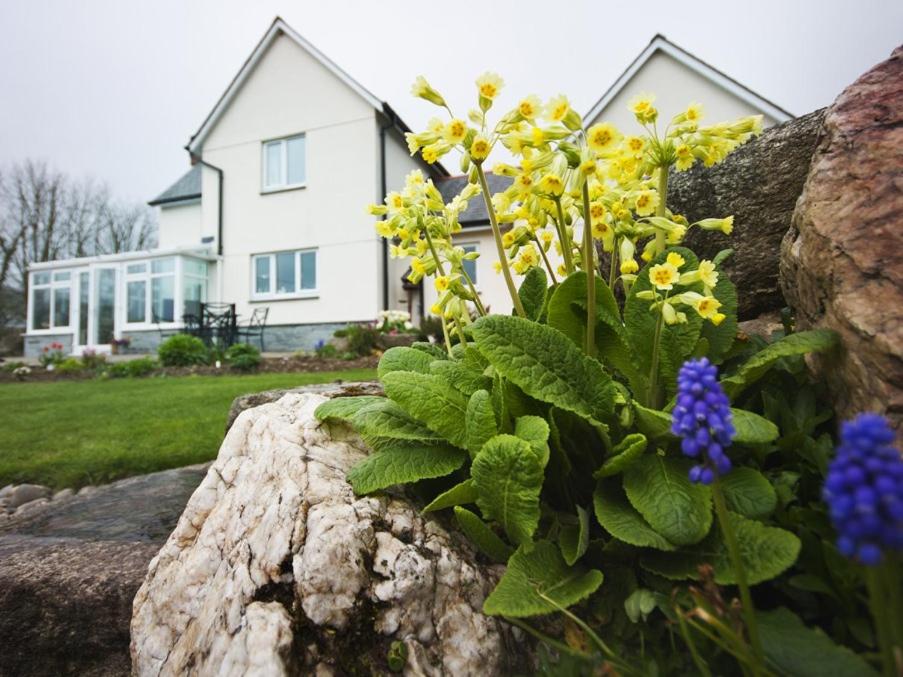 a flower garden in front of a house at Copper Meadow in Launceston