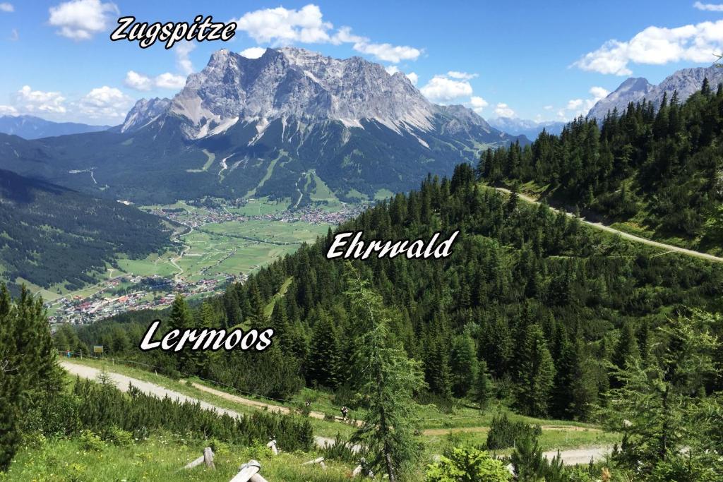 Příroda nedaleko penzionu