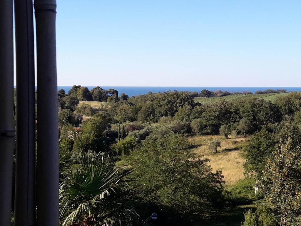 Gallery image of Ama(A’ in Fano