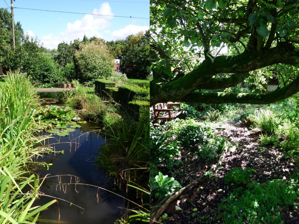 dos fotos de un jardín y un estanque en Kenilworth Garden Accomodation en Wisbech