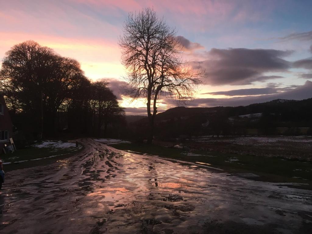 a sunset over a dirt road with a tree at Beautiful Highland 1-Bed Cottage in Inverness