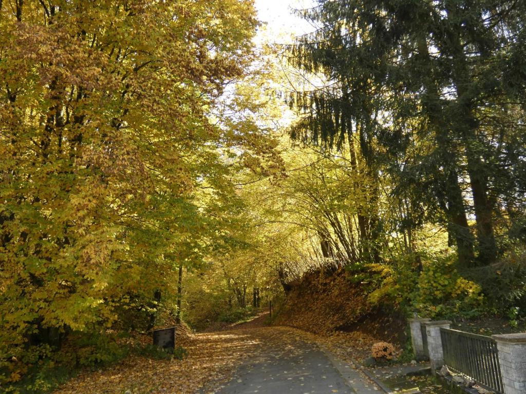 Příroda nedaleko apartmánu
