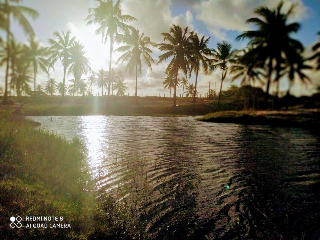  Paraíso