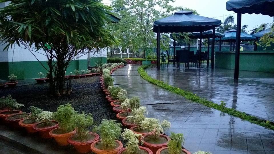 a row of potted plants on a sidewalk in the rain at Golaghat Gymkhana in Golāghāt