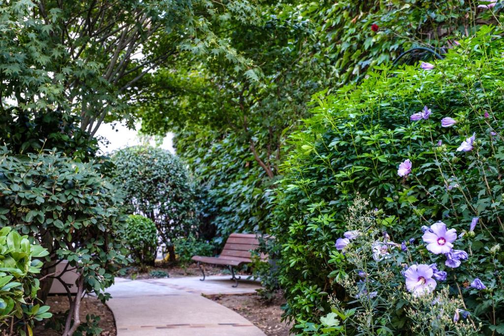 HOTEL DE PARIS MONTPARNASSE - Resim 28