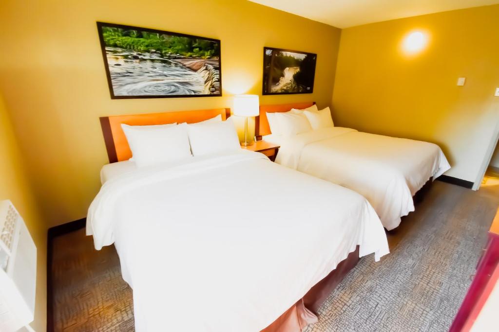 duas camas num quarto de hotel com paredes amarelas em Canad Inns Destination Centre Windsor Park em Winnipeg