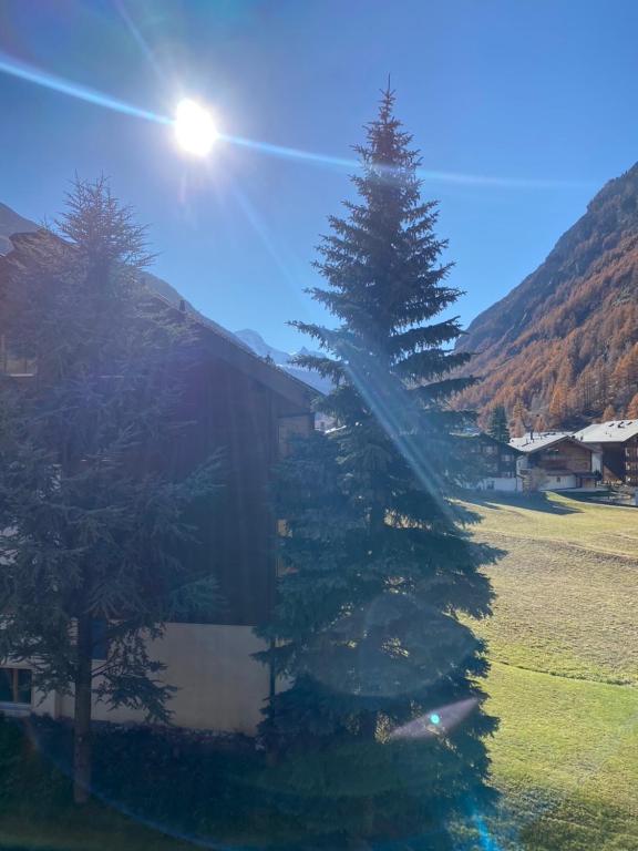 un grand arbre de Noël devant une maison dans l'établissement St Martin Apartments, à Täsch