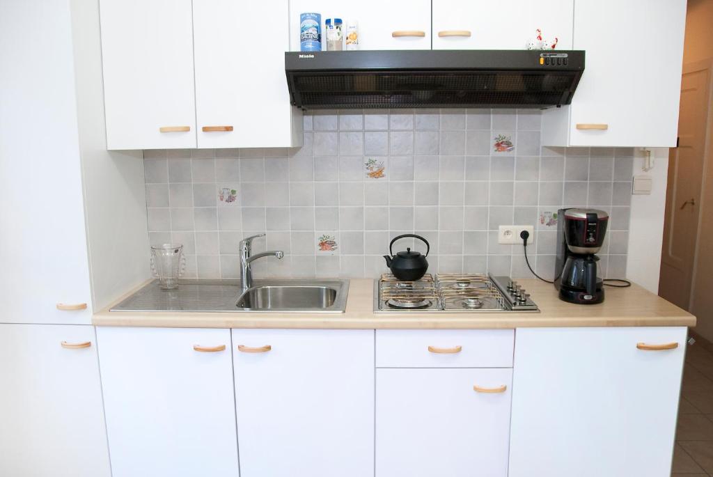 Kuchyň nebo kuchyňský kout v ubytování Holiday Home Le Pihon
