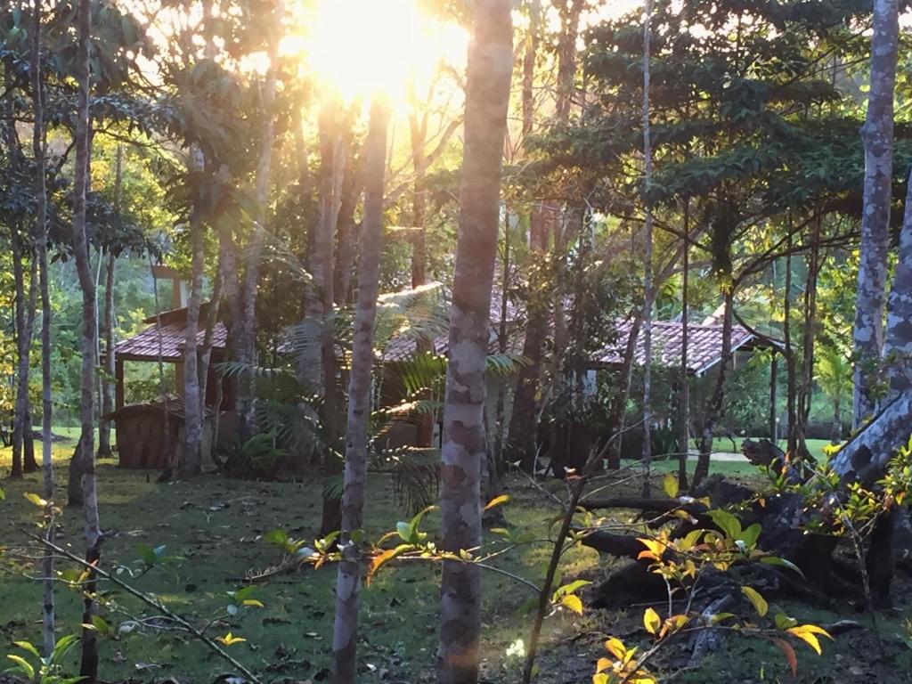  Sítio Céu e Terra