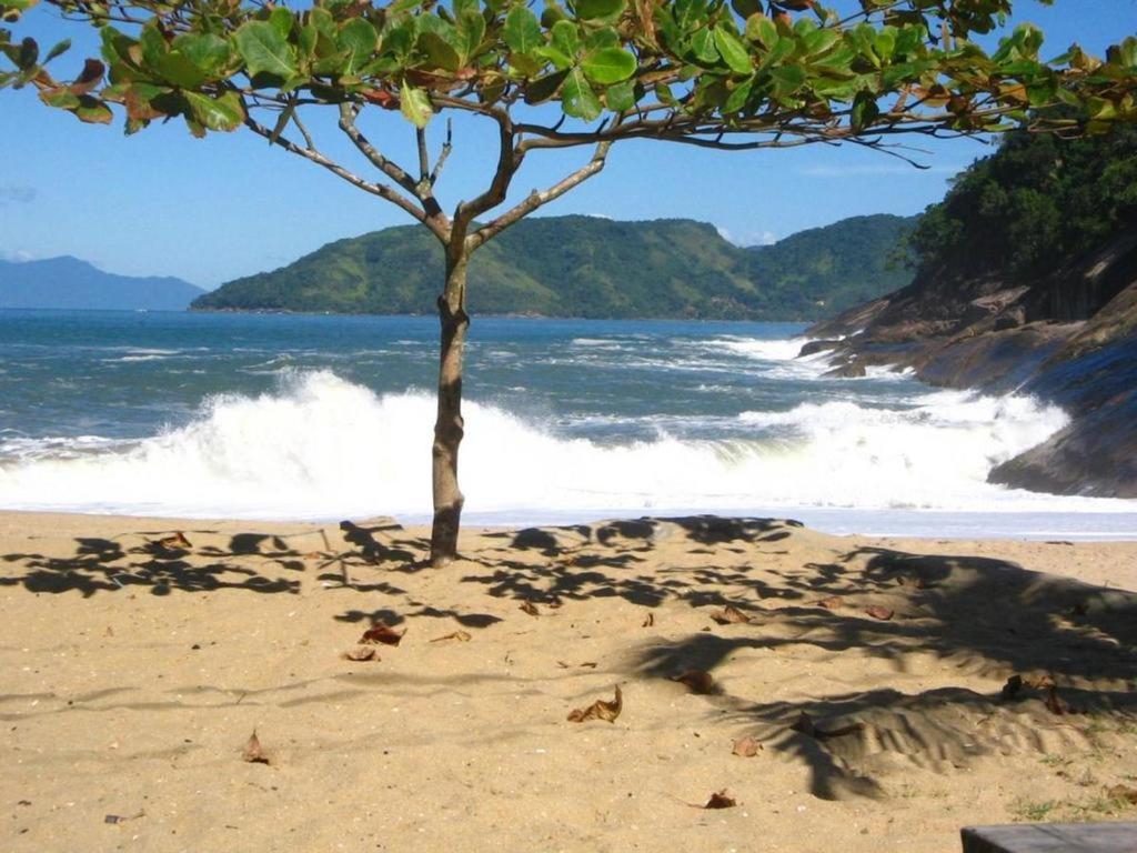  Wembley Tenis Ubatuba