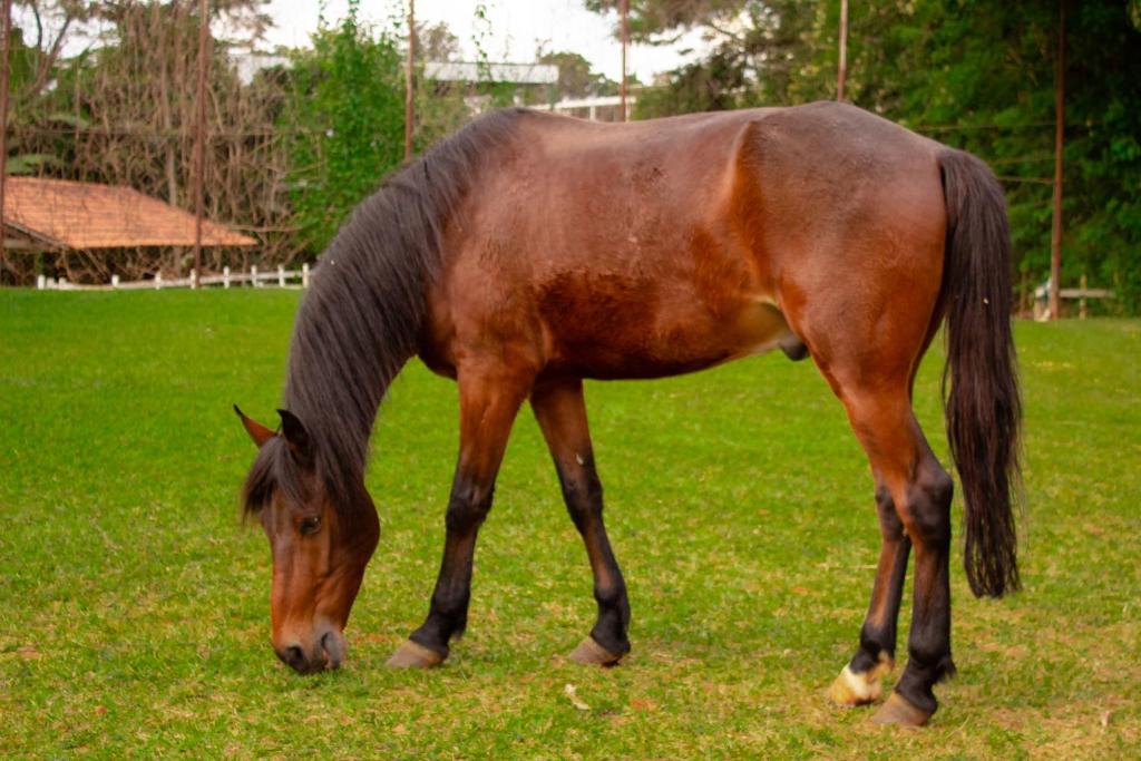  Hotel Fazenda Vale Amanhecer