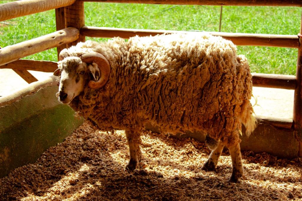  Hotel Fazenda Vale Amanhecer