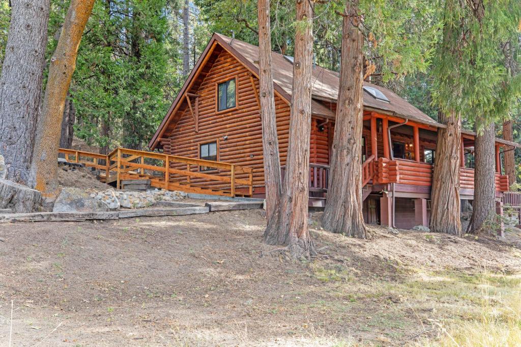 a log cabin in the woods with trees at Pine Cone Haven in Idyllwild