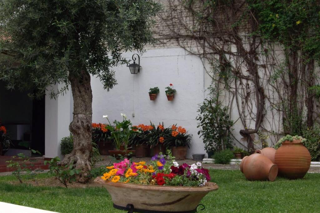Apartment Casa con piscina en jardín privado en la Judería ...