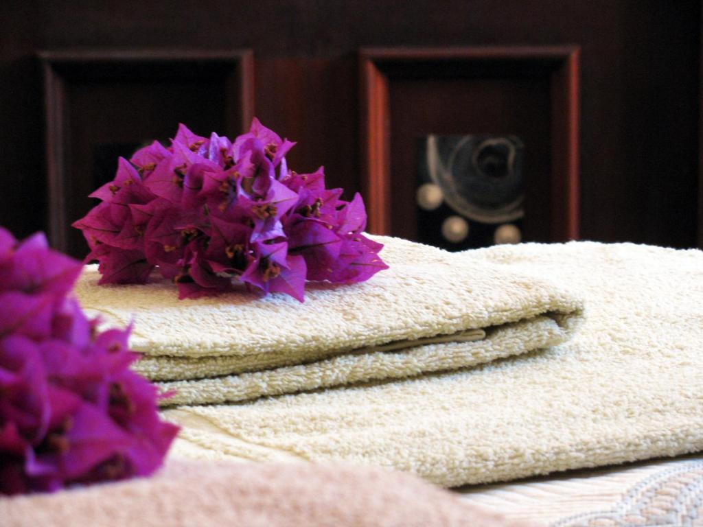 Vivenda os Silvas - 15