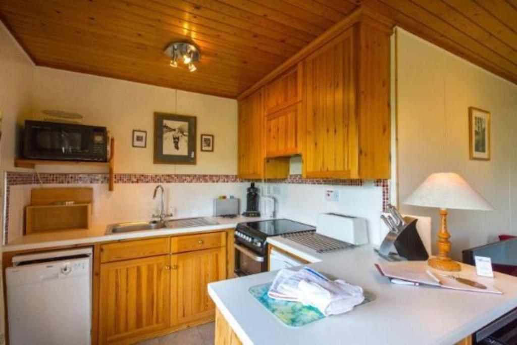 Kuchyň nebo kuchyňský kout v ubytování 2 bedroom lodge with stunning loch mountain views