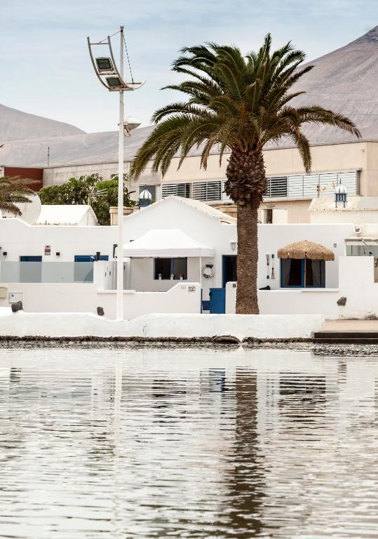 a palm tree in front of a building next to a body of water at Luxury Suite Sea Front III in Playa Honda