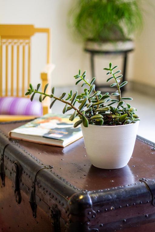 Fotografie z fotogalerie ubytování Casa de Luz v destinaci Guadalajara