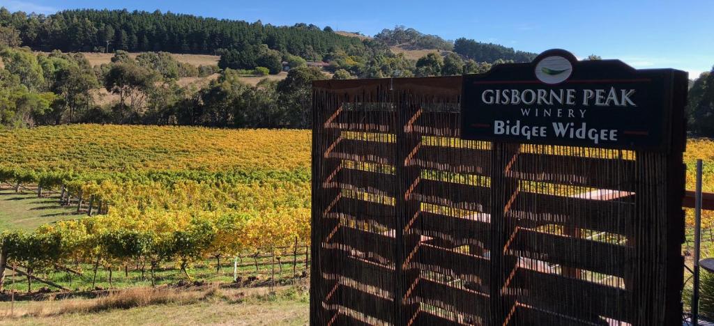 una señal para el parque del champán con un gran viñedo en Gisborne Peak Winery Short Term Stays en Gisborne