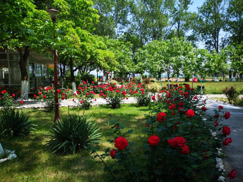 Zahrada ubytování Complex Mediteranean Mamaia