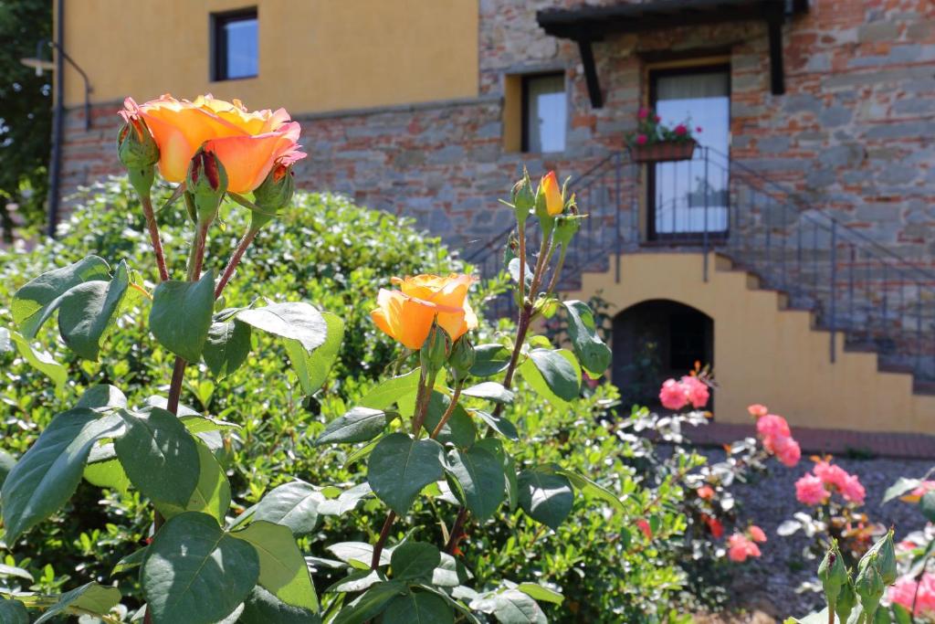 Zahrada ubytování Il Borgo di Villa Castelletti Country Hotel