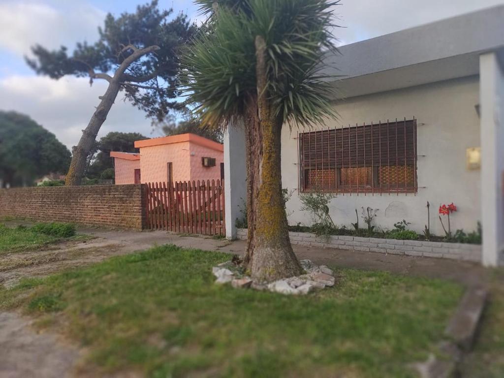 una palmera en un patio junto a una casa en Adela Miramar - Buenos Aires en Miramar