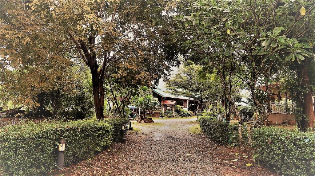 Zahrada ubytování EiDI Homestay