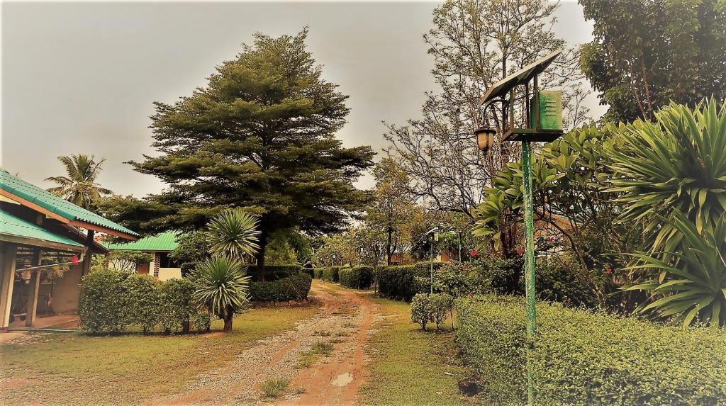 Zahrada ubytování EiDI Homestay