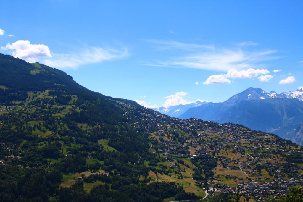 Greppons O 020 - MOUNTAIN apartment 5 pers - Resim 16