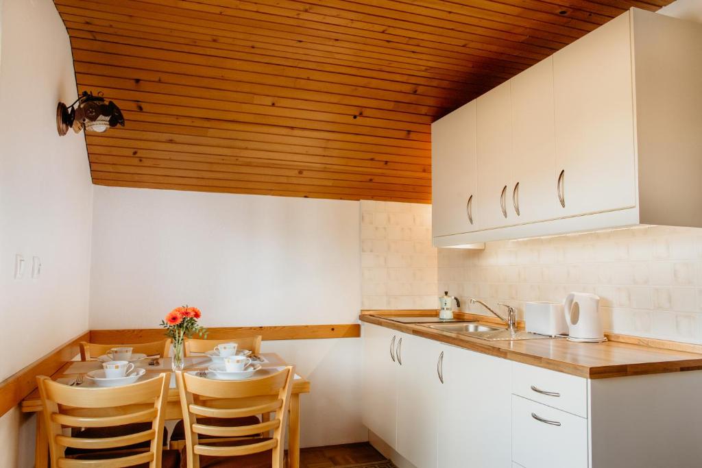 Kuchyň nebo kuchyňský kout v ubytování Apartments Kristan