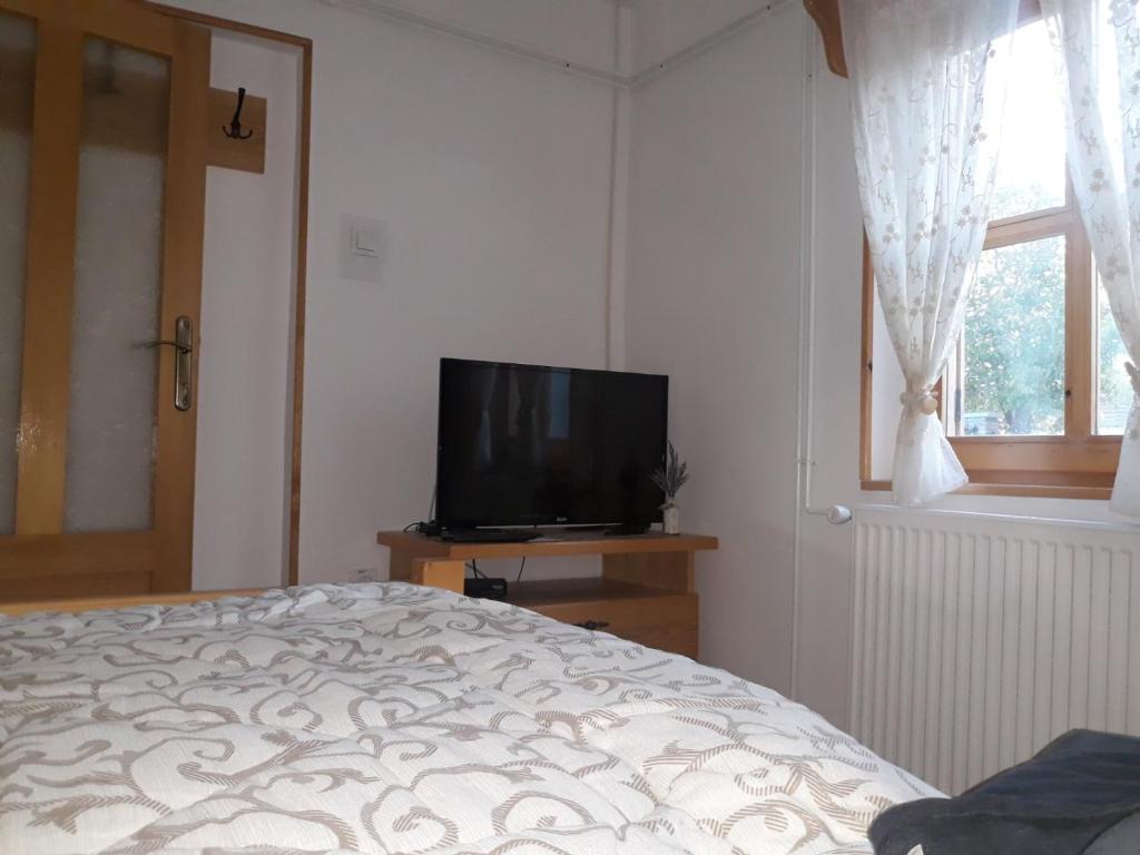 TV a/nebo společenská místnost v ubytování Rita Apartman & Studio