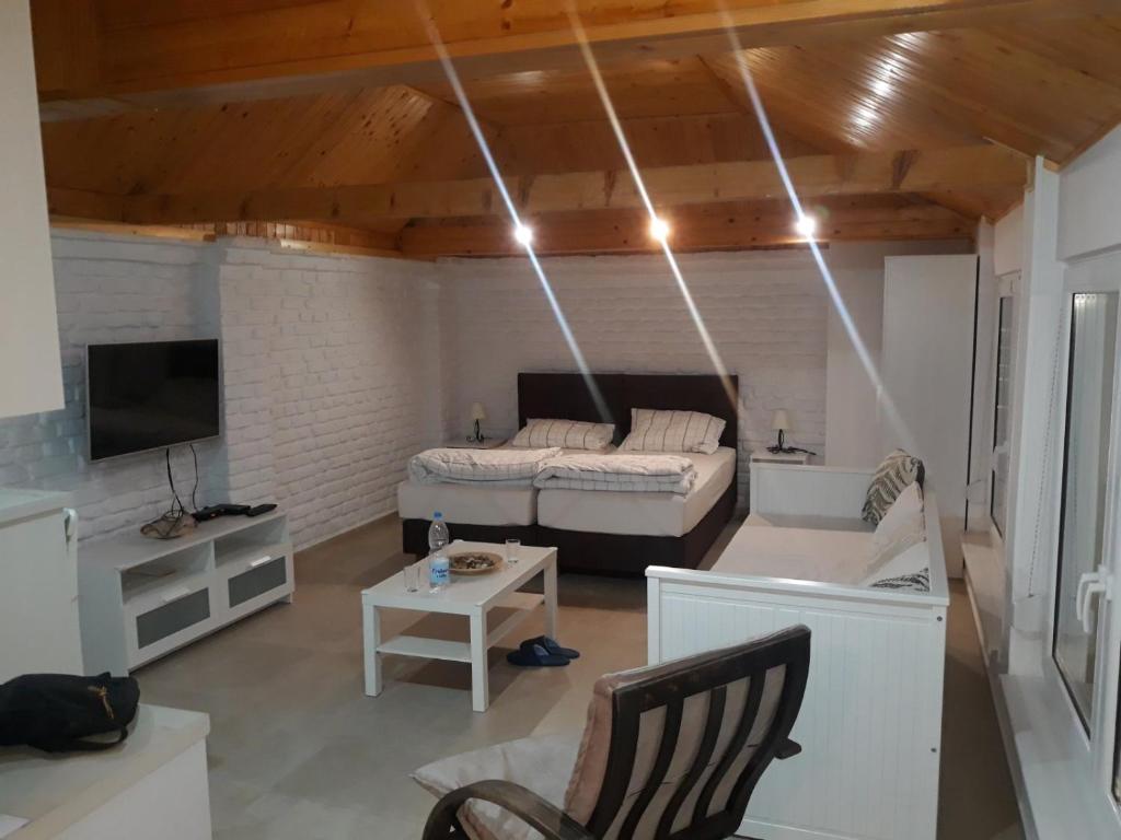 TV a/nebo společenská místnost v ubytování Rita Apartman & Studio