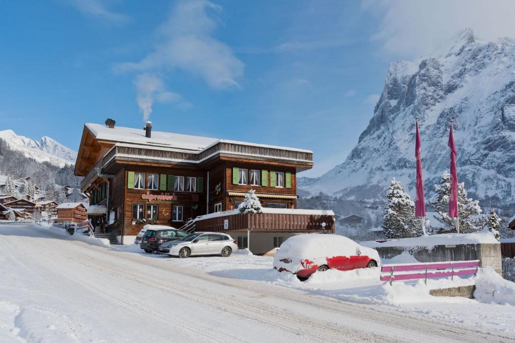 Hotel Alpenblick v zimě