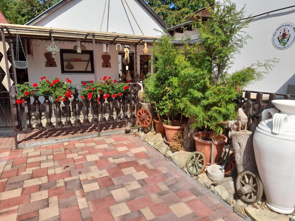 Zahrada ubytování Guest House Móritz