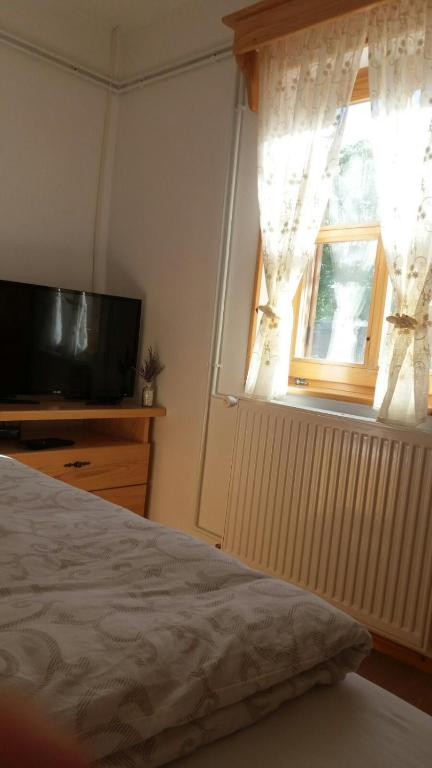 TV a/nebo společenská místnost v ubytování Rita Apartman & Studio