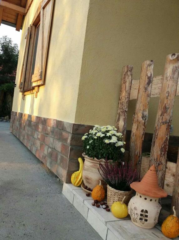 Fotografie z fotogalerie ubytování Rita Apartman & Studio v destinaci Zrenjanin
